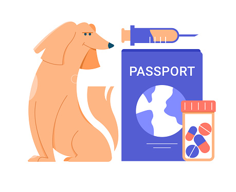 The dog sits next to a giant passport, a syringe and a jar of pills. Vaccination and pet health care, veterinary medicine. Traveling with the dog. Vector flat illustration.