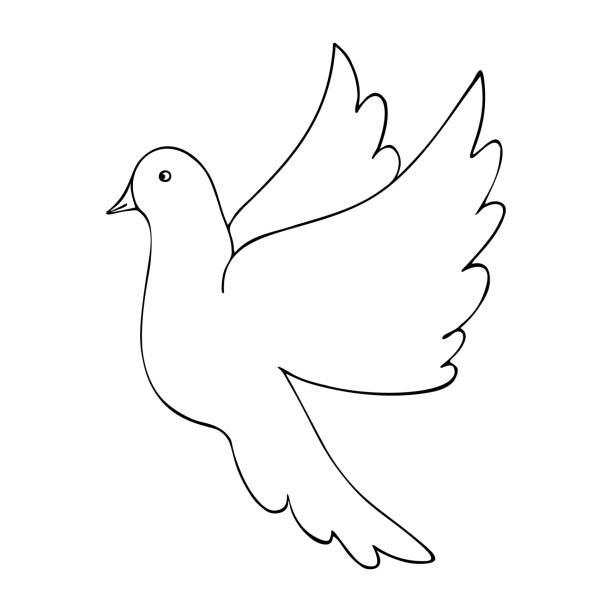 The dove is a symbol of peace. Vector. Coloring book for children. The dove is a symbol of peace. Snow-white bird. Vector. Colorless background. Coloring book for children. Illustration for Valentine's day, wedding. Holiday sketch. bills saints stock illustrations
