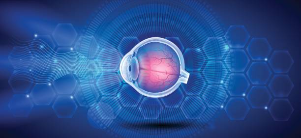 The eye Human eye anatomy on a blue scientific background eye backgrounds stock illustrations