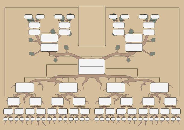 The family tree The genealogical tree, vector chart family tree stock illustrations