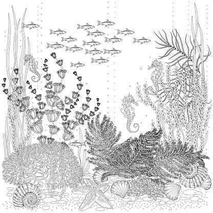 the flora and fauna of the seabed