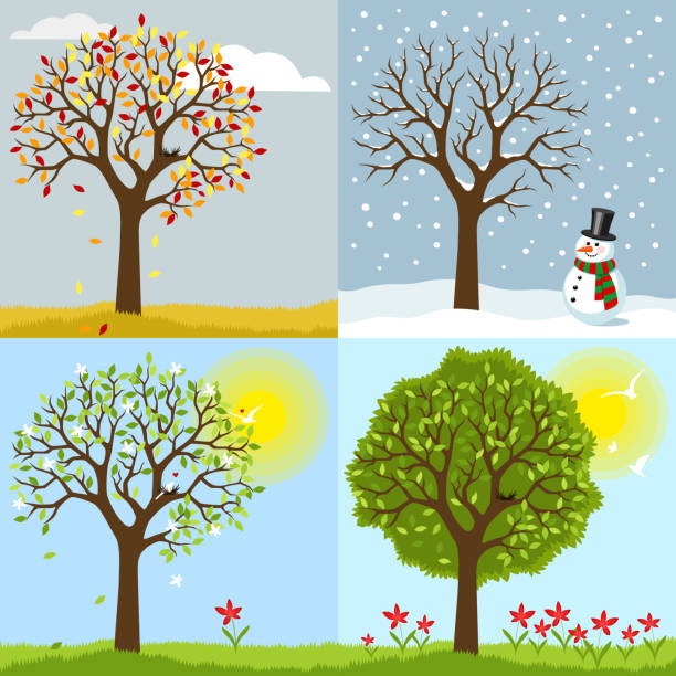 The four seasons Illustrationen visar en tecknad bild med de fyra årstiderna season stock illustrations