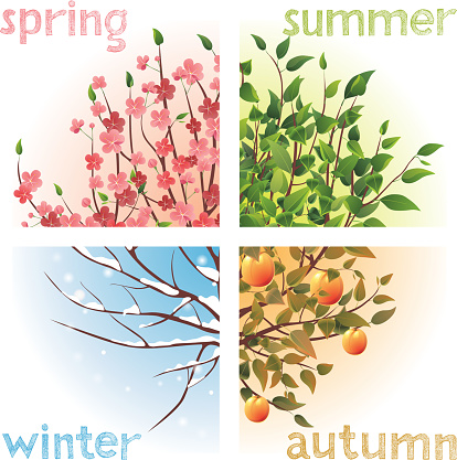 The four seasons winter, summer, autumn, and spring