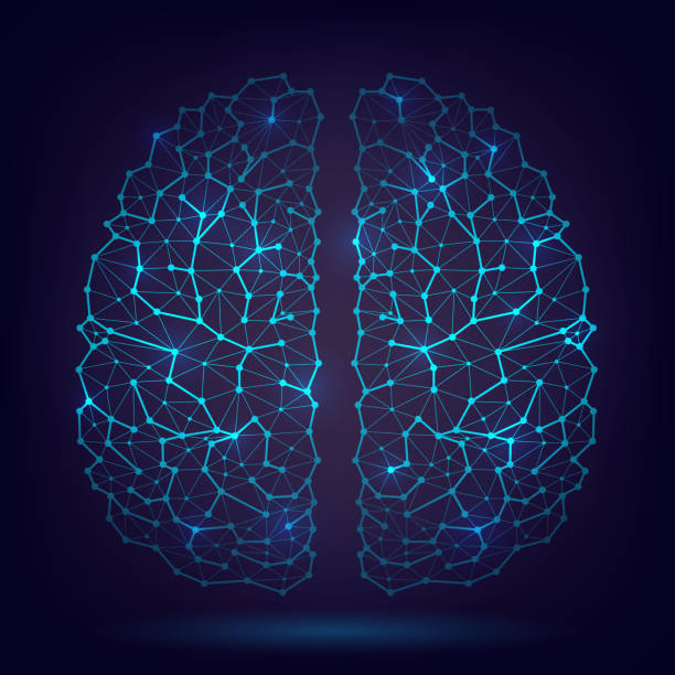 The human brain, neurons and axons Glowing vector human brain, artificial intelligence, science, intellect, axons and neurons, brain structure brain designs stock illustrations