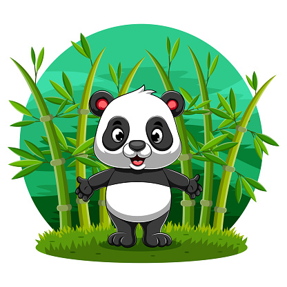 The little panda standing the bamboo field in the jungle with the happy