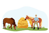 istock The man takes care of his beloved horses, gives them hay. Two horses eat hay at the farm. Country pet. Agricultural work. Isolated character on a white background. Vector illustration in flat style 1333683299