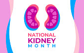The National Kidney Month vector illustration. Banner, poster for prevention of kidney diseases. Two human kidneys in an abstract trend style. American educational campaign.
