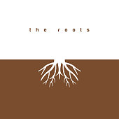The roots graphic design template vector