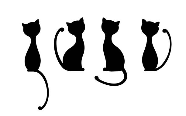 stockillustraties, clipart, cartoons en iconen met de silhouetten van zwarte elegante katten. - kat