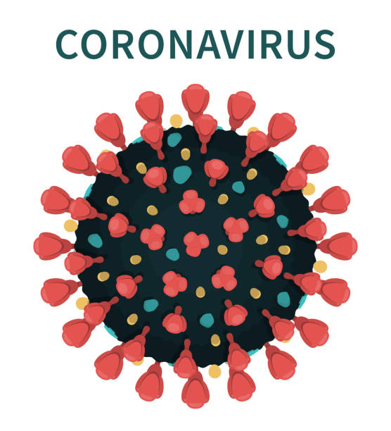 The structure of coronavirus COVID-19 with spikes Flat vector illustration of COVID-19 external structure showing red spikes and envelope of virus capsid. Close-up view of coronavirus under microscope. spiked stock illustrations