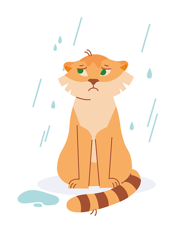 The tiger is sitting in the rain. Vector image.