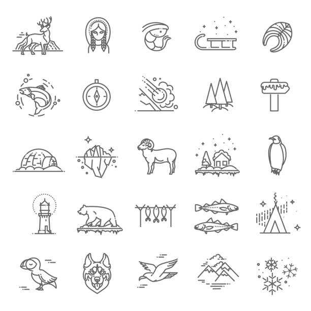 тонкая линия арктические иконки набор, северный полюс наброски логотипы вектор иллюстрации - дикие животные stock illustrations