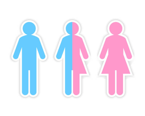 ilustrações, clipart, desenhos animados e ícones de terceiro gênero é composto por metade masculina e metade feminino pictograma - trans