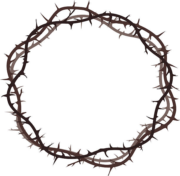 thorn crown on the white background thorn crown on the white background crown of thorns stock illustrations