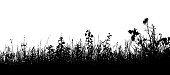 Silhouette of grass and weeds