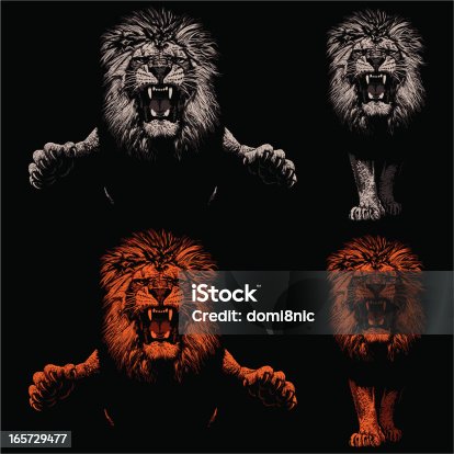 istock Threatening Lions - Light and Shadow 165729477