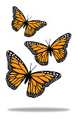 istock Three Butterflies With Shadow 1284617637