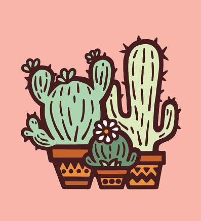 Three Cacti in Pots