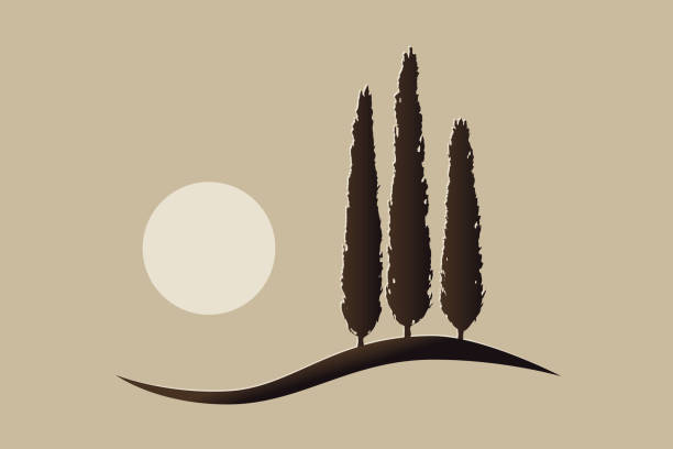 stockillustraties, clipart, cartoons en iconen met drie geïsoleerde mediterrane vector cipressen pictogram embleem silhouet op een heuvel met de zon - cipres