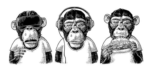Three wise monkeys. Not see, not hear, not speak. Vintage engraving Three wise monkeys in headphones, virtual reality headset,and burger. Not see, not hear, not speak. Vintage black engraving illustration for poster. Isolated on white background monkey stock illustrations