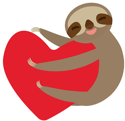 Threetoed Sloth Holding Red Heart Isolated On White Background Vector ...