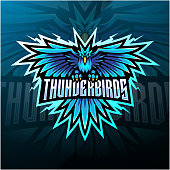 Illustration of  Thunder birds esport mascot logo design