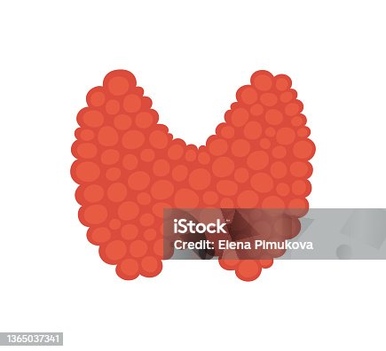 istock Thyroid gland in flat style. Drawing of a healthy thyroid gland. Vector illustration isolated on white background 1365037341