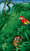 A very detailed vector illustration. Rainforests are extraordinary places! Colorful, mysterious...