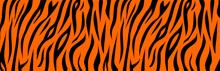 Tiger animal orange and black print
