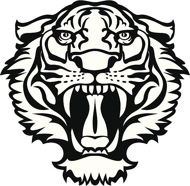 Tiger black/white tattoo Tiger black/white tattoo vector bengal tiger stock illustrations