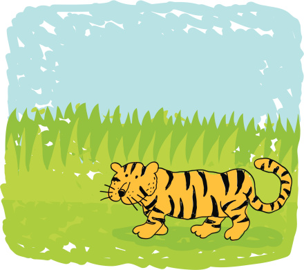tiger doodle