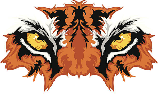 タイガー目のマスコットグラフィック - ベンガルトラ点のイラスト素材／クリップアート素材／マンガ素材／アイコン素材