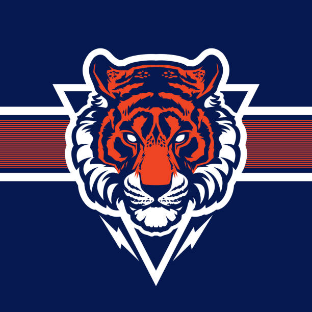 Tiger head logotype. Cartoon character vector. Great for sports logos & team mascots. bengals stock illustrations