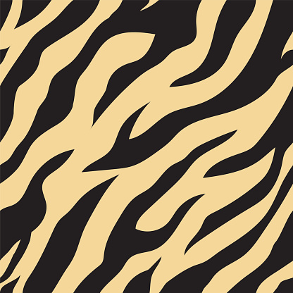 Tiger Pattern Seamless Vector Stock Illustration - Download Image Now ...