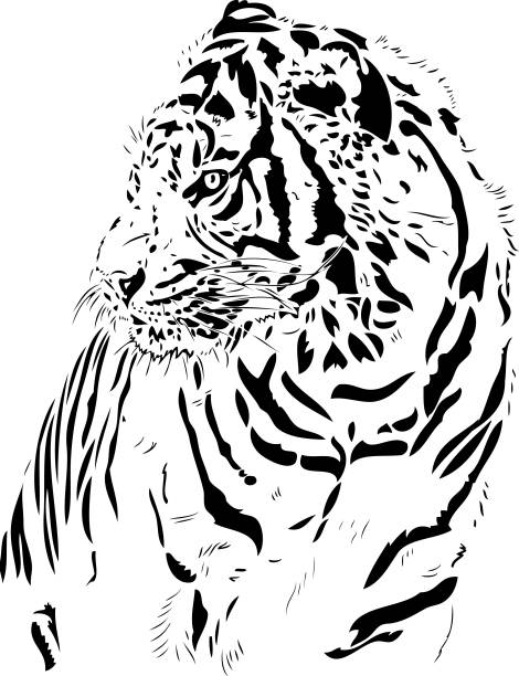 黒い線で虎肖像画 - ベンガルトラ点のイラスト素材／クリップアート素材／マンガ素材／アイコン素材