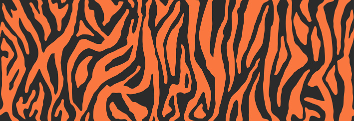 Tiger stripes pattern, animal skin, line background.  Wild life wallpaper. Vector seamless texture