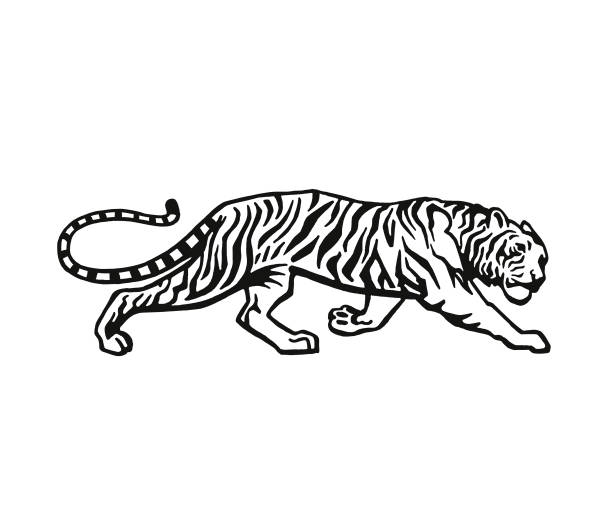 tiger - 虎　イラスト点のイラスト素材／クリップアート素材／マンガ素材／アイコン素材