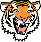 Great for a sports team logo, this tiger is angry. A high rez jpeg & ai. file come with this image. Enjoy