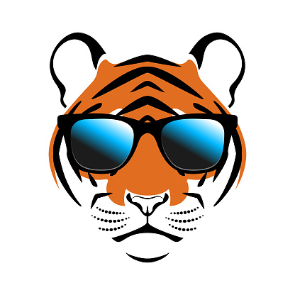 Tiger wearing sunglasses