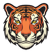istock Tiger, wild big cat head. 1337080427