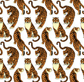 Tigers seamless pattern on white background. Illustration
