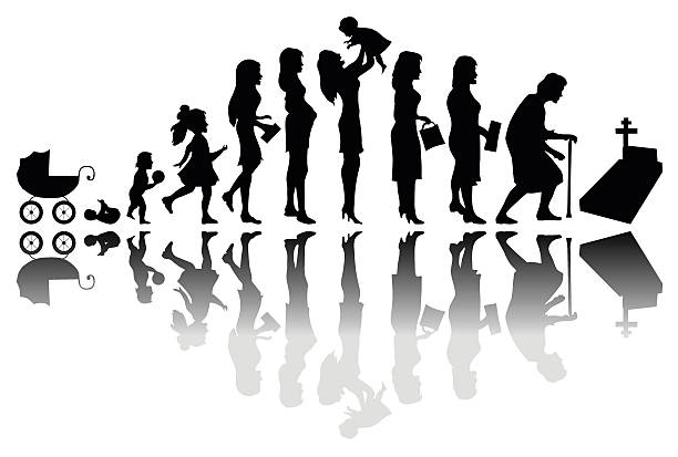 Time passing concept Time passing woman concept. Illustration of life from birth to death growth silhouettes stock illustrations