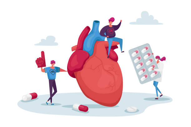 ilustrações, clipart, desenhos animados e ícones de personagens minúsculos no diagnóstico de colesterol cardíaco enorme. ciência do laboratório químico, mulher segura farmácia medicina bolha - cardiologista
