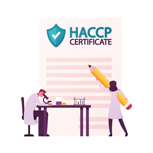 ilustrações de stock, clip art, desenhos animados e ícones de tiny characters with microscope. haccp hazard analysis and critical control point. standard and certification, quality control management rules for food industry. cartoon people vector illustration - haccp