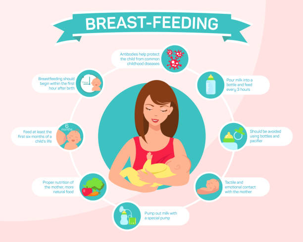 Tips for mothers When Breastfeeding. Detailed vector Infographic. Vector illustration Tips for mothers When Breastfeeding. Detailed vector Infographic. breastfeeding stock illustrations