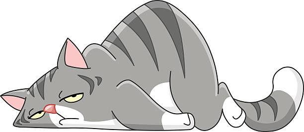 Tired cat Tired cat lying on its stomach exhaustion stock illustrations