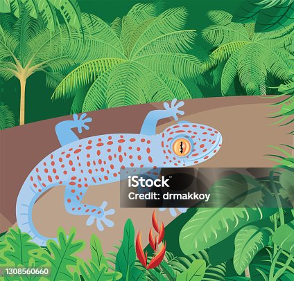 istock Tokay Gecko and tropical forest 1308560660