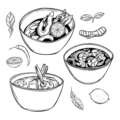 Tom yam soup. Sketch  illustration.