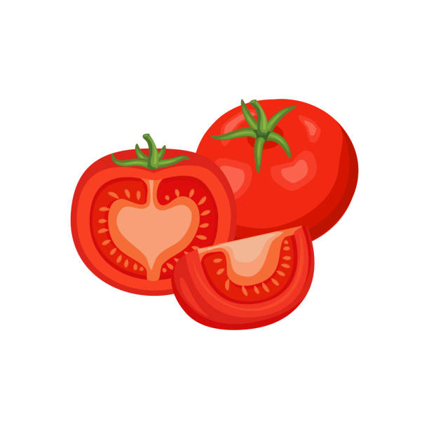 綺麗なトマト 断面 イラスト 簡単 動物ゾーン