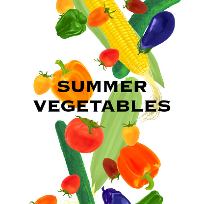 Tomatoes, corn, cucumber, eggplant, summer vegetables vector illustration